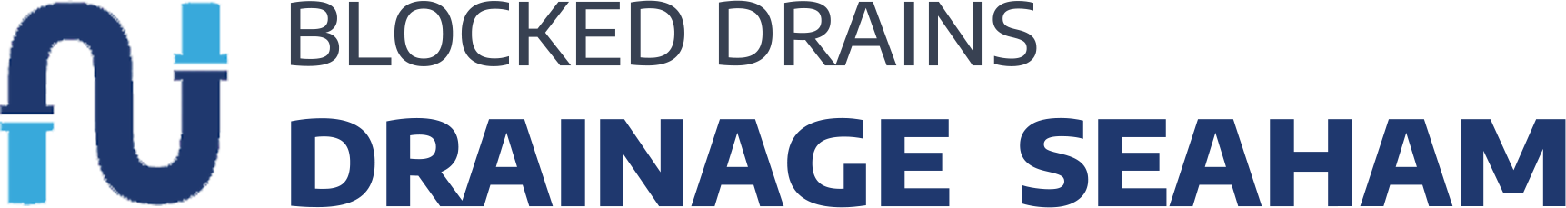 website logo